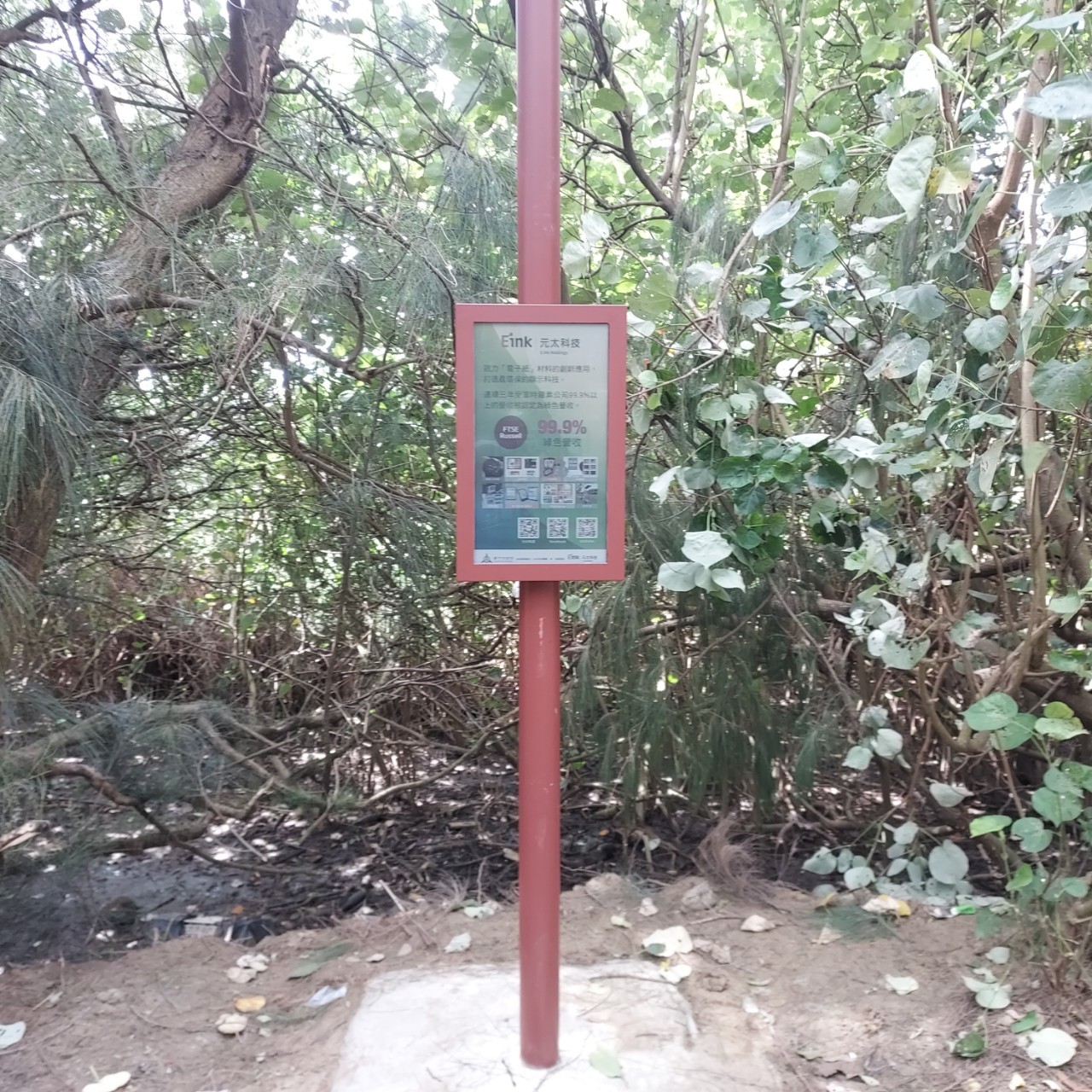Jincheng Lake East Side 2